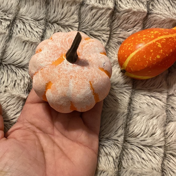 Assorted Fall Pumpkins - Picture 2 of 4